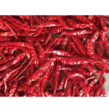 Fresh Dry Red Chilli
